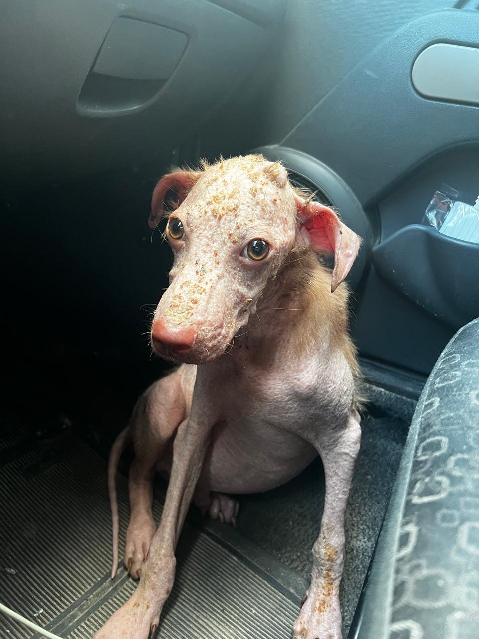 Foto de Rafael